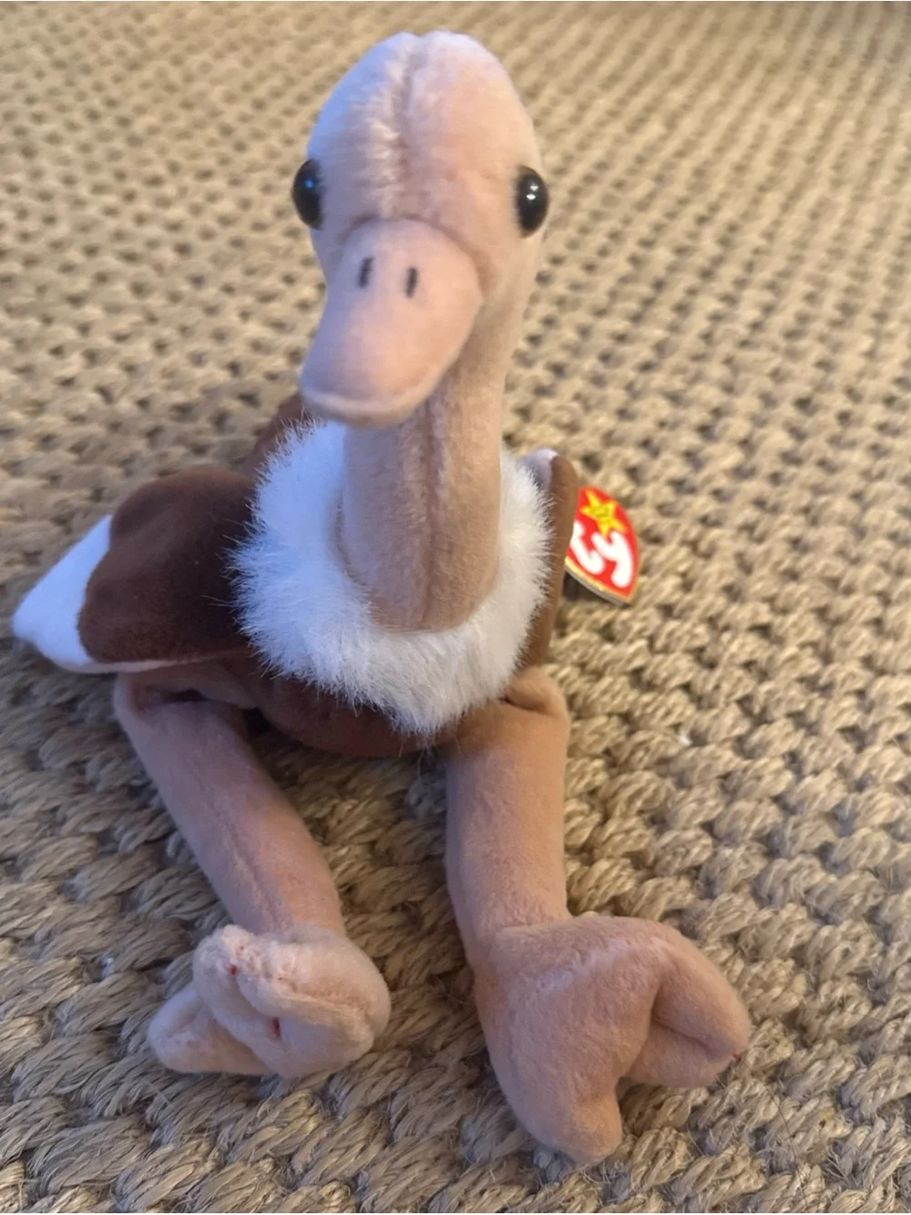 Beanie Babies questions leave